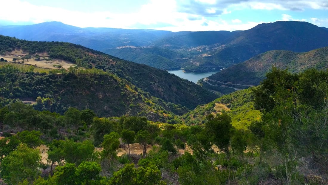 Thi tran Y rao ban nha voi gia 1 USD anh 14