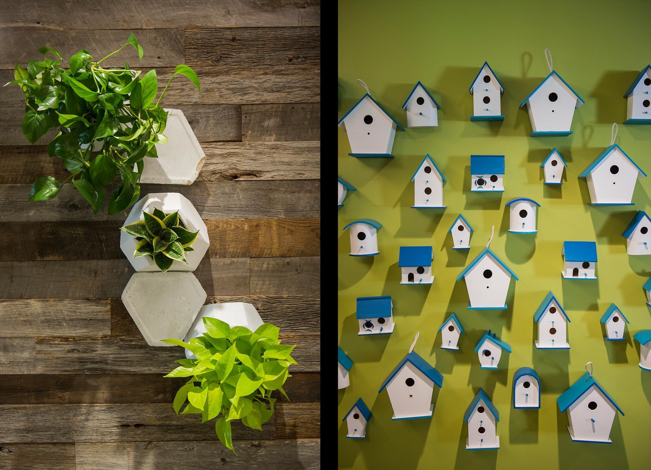 Bên trong văn phòng dưới chân núi đá của Google ảnh 9 Ben trong van phong duoi chan nui da cua Google anh 9