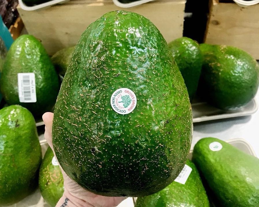 Loai bo lon nhat the gioi gia gan 300.000 dong mot qua hinh anh