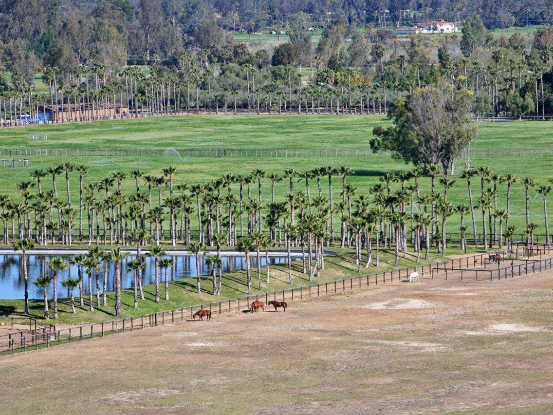 Co nhieu tien,  gioi giau tieu vao dau? anh 13