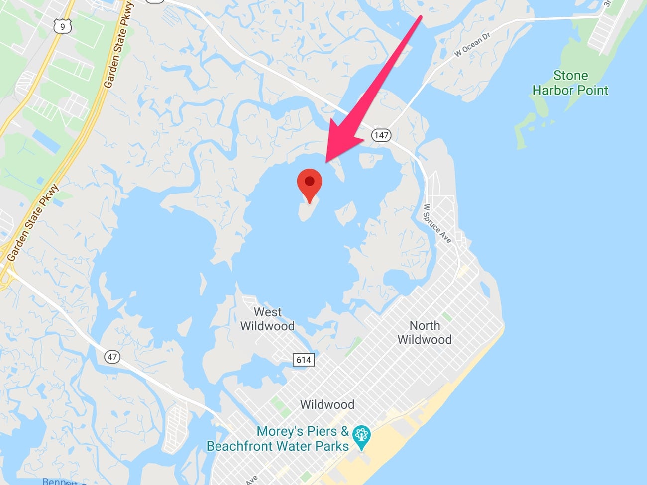 Dao tu nhan tai My anh 1