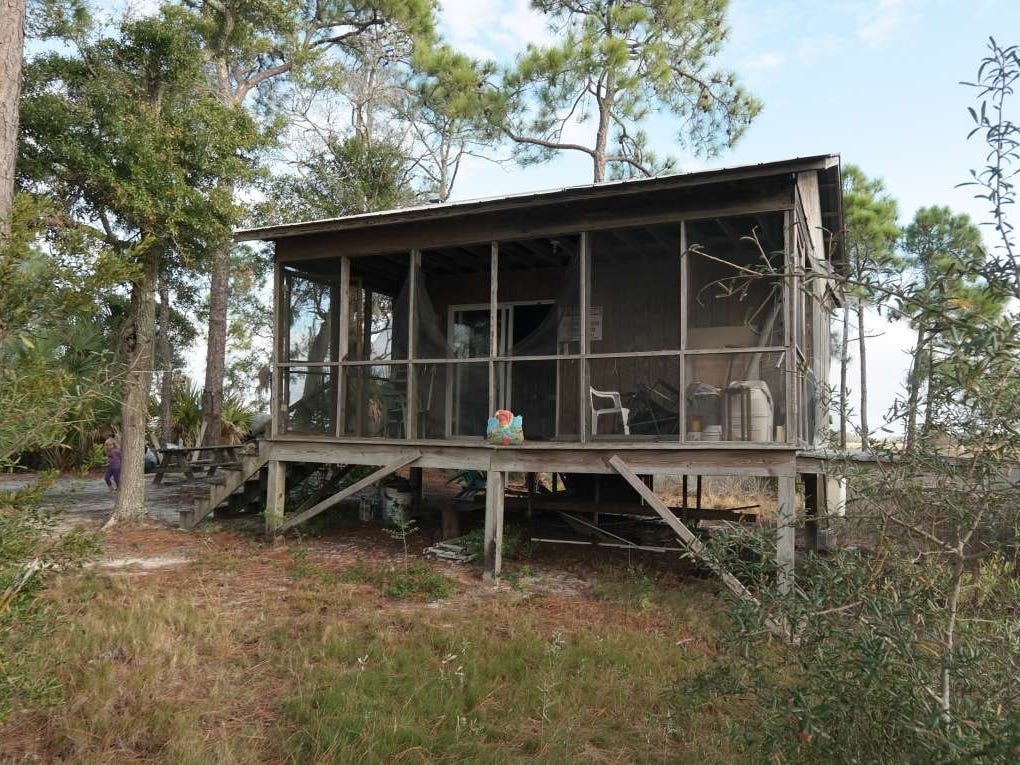 Dao tu nhan tai My anh 6