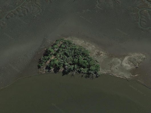 Dao tu nhan tai My anh 8