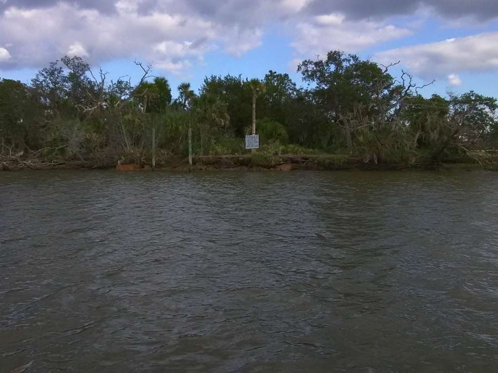 Dao tu nhan tai My anh 9