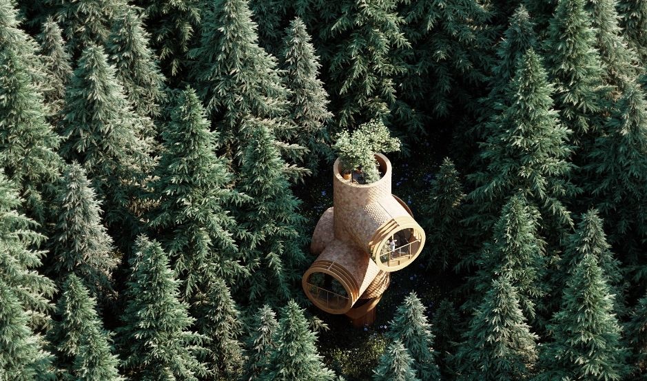 Ngoi nha hinh goc cay o Ao hinh anh