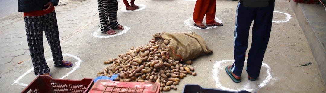 Cho,  hop cho,  Covid-19,  gian cach xa hoi anh 7