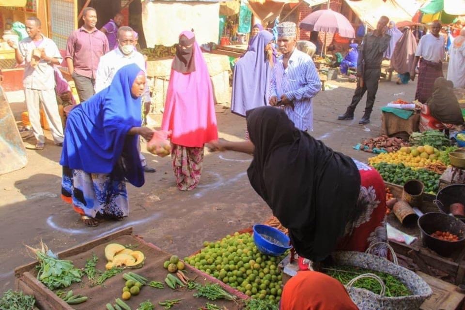 Cho,  hop cho,  Covid-19,  gian cach xa hoi anh 13