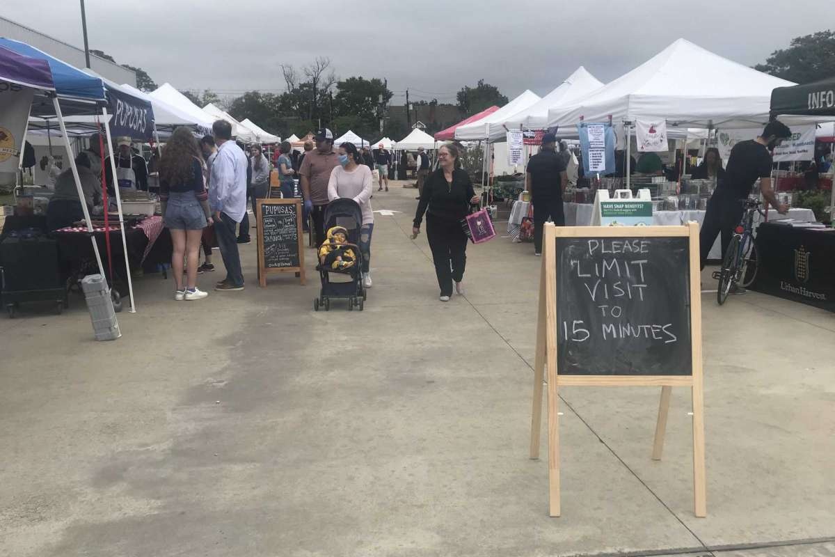 Cho,  hop cho,  Covid-19,  gian cach xa hoi anh 16