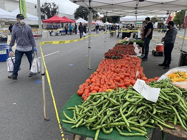 Cho,  hop cho,  Covid-19,  gian cach xa hoi anh 19