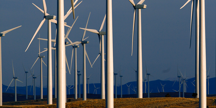 dau tu cua ty phu Warren Buffett anh 6