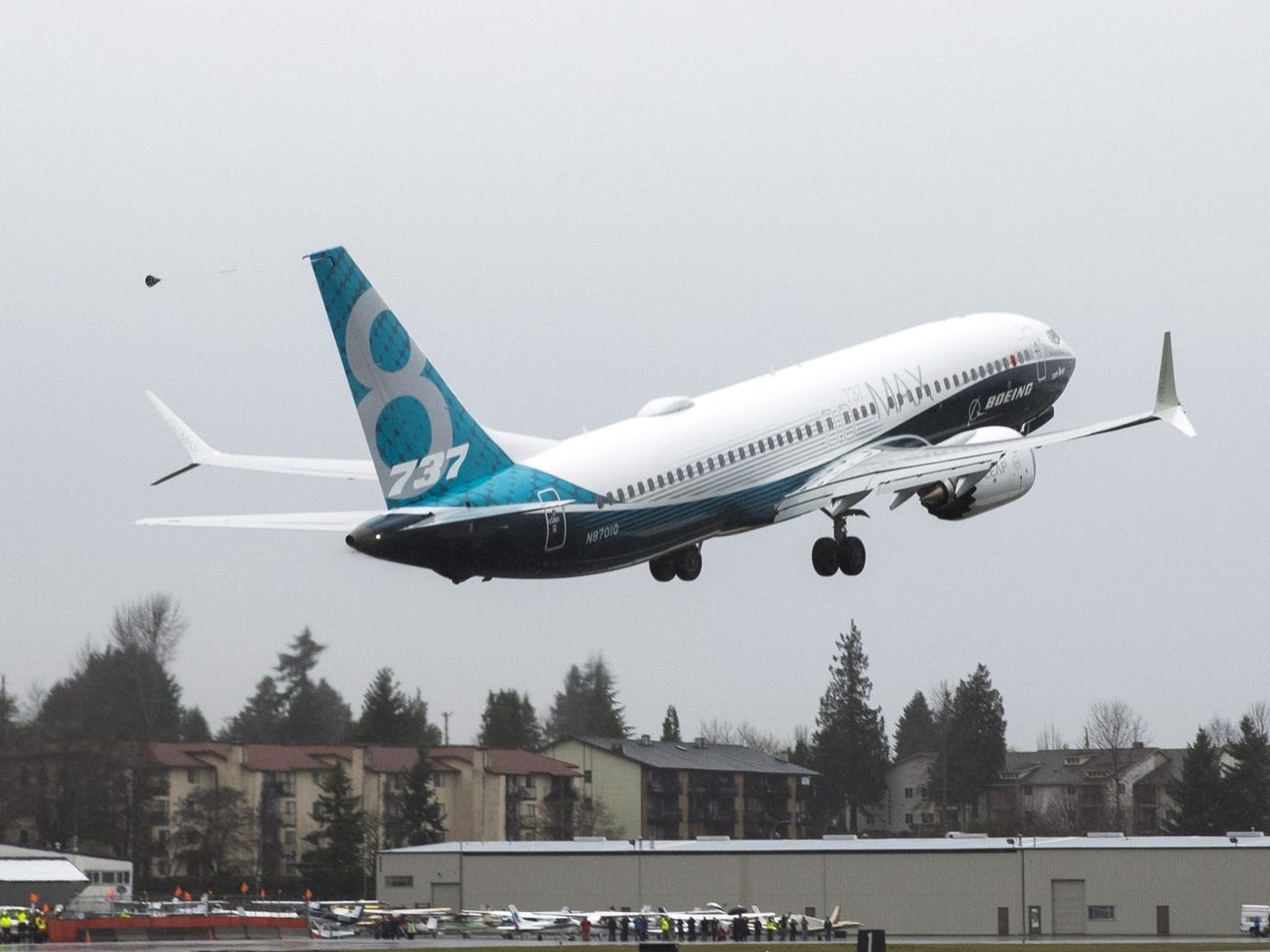 SkyStyle,  Boeing 737 Max,  may bay ca nhan anh 1