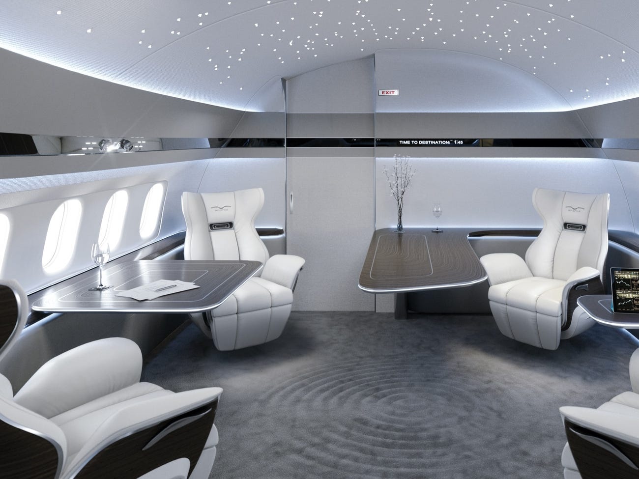 SkyStyle,  Boeing 737 Max,  may bay ca nhan anh 6