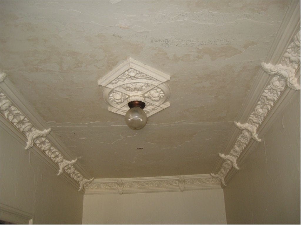 nha co bo hoang tu 1.000 USD anh 9