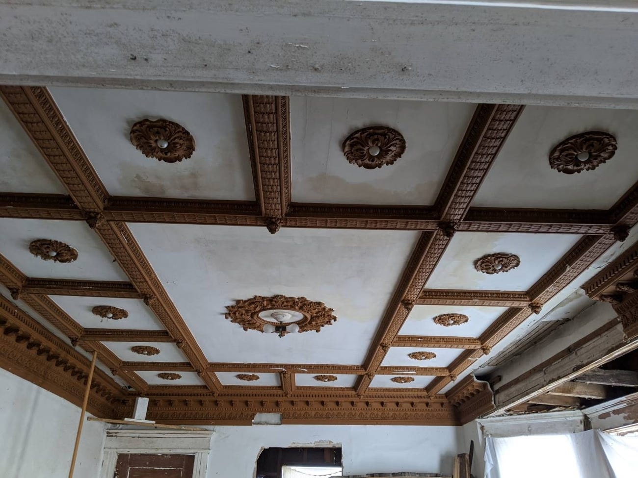 nha co bo hoang tu 1.000 USD anh 5