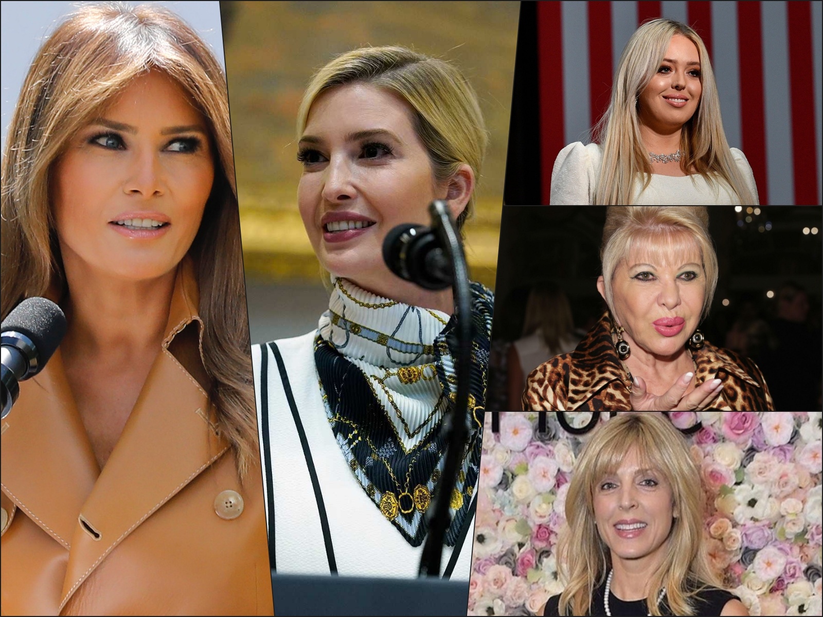 Vo va cac ai nu cua Tong thong My Donald Trump giau co nao? hinh anh