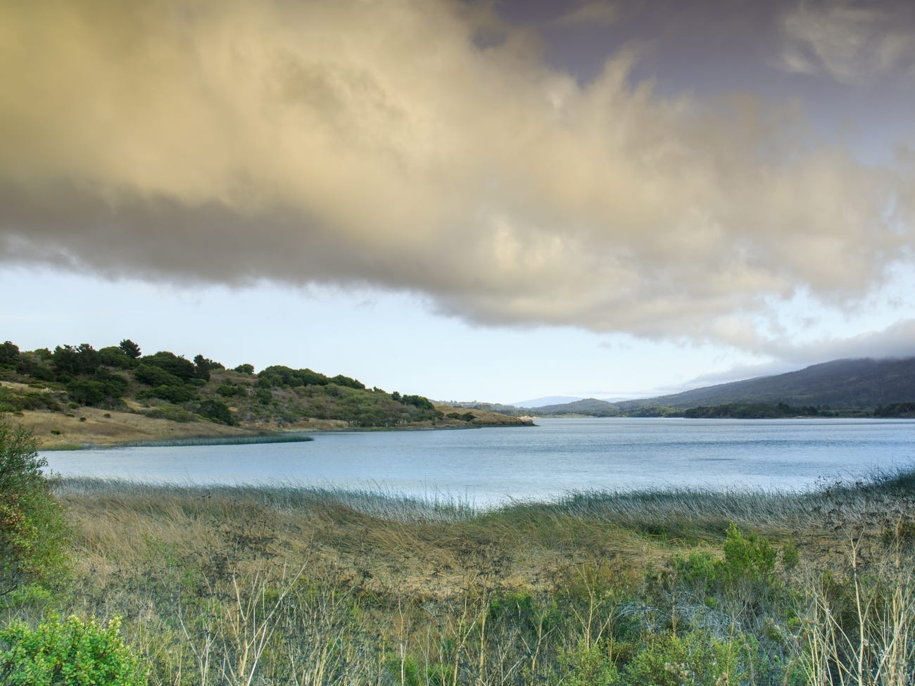 thi tran giau co nhat nuoc My,  My anh 18