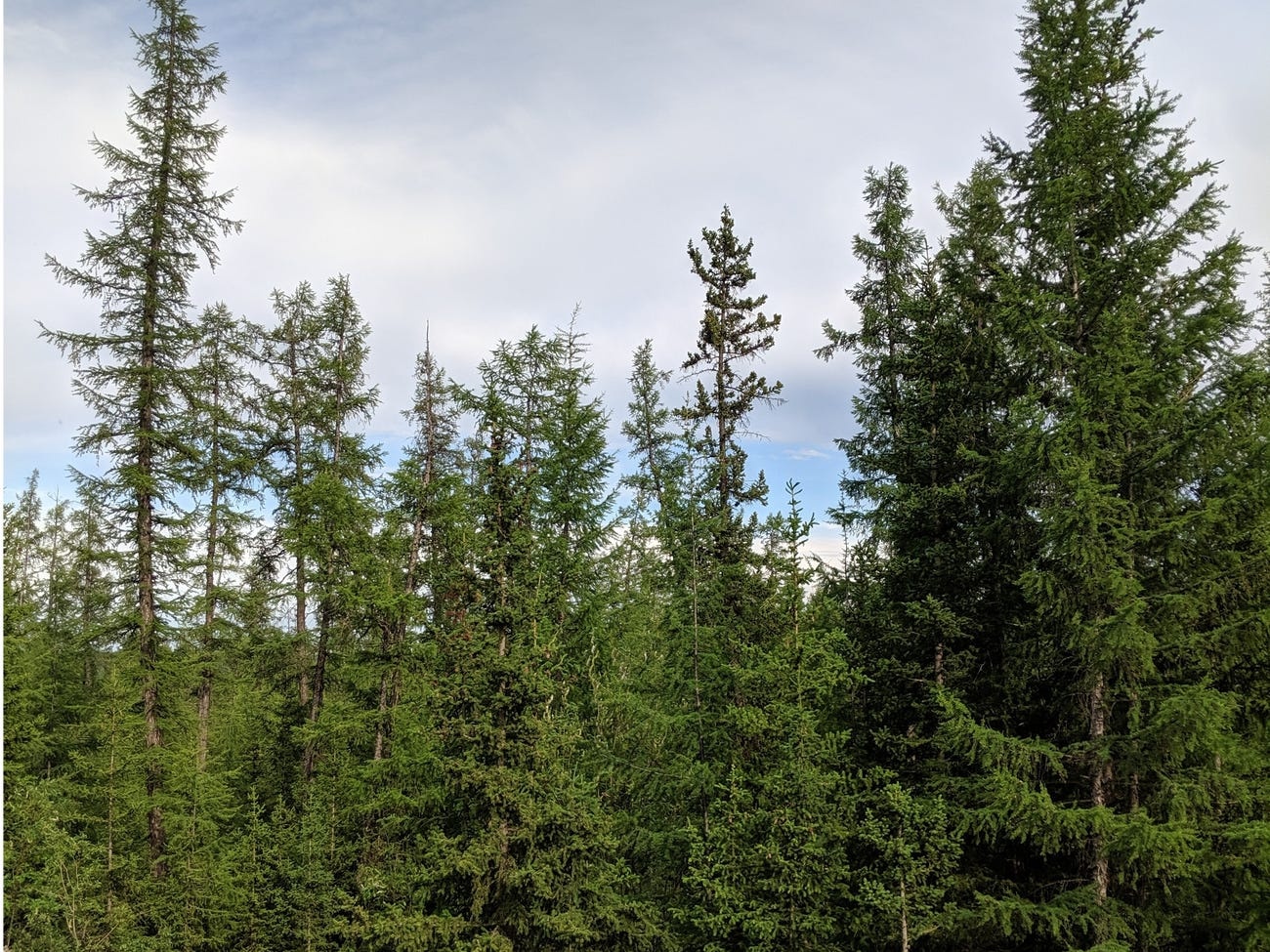 Thi tran kim cuong gan Bac Cuc anh 19