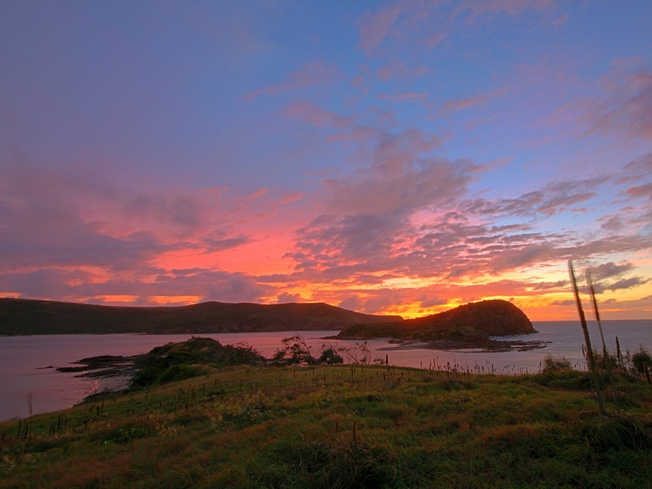 Dao Pumpkin o Australia anh 9