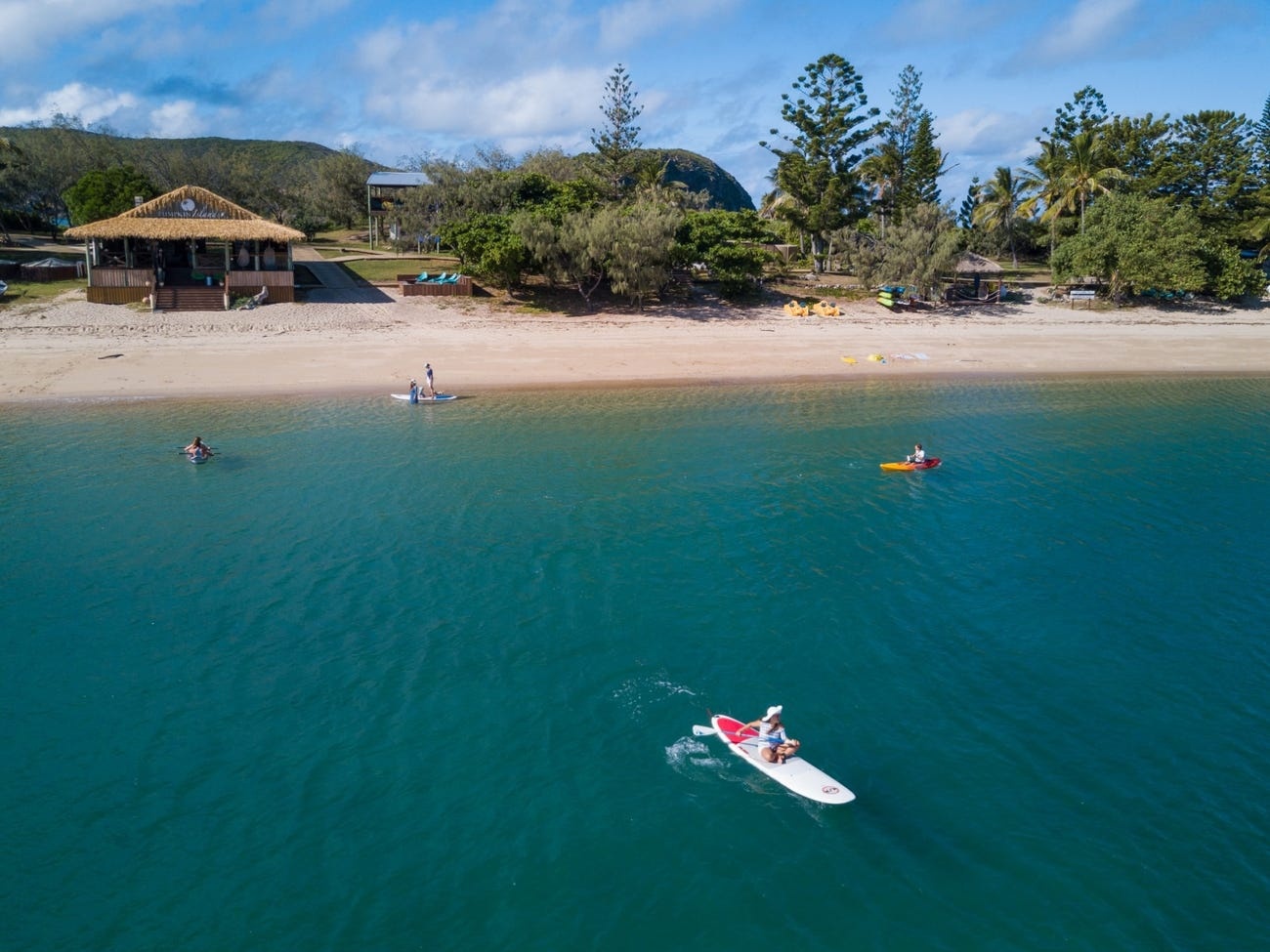 Dao Pumpkin o Australia anh 10