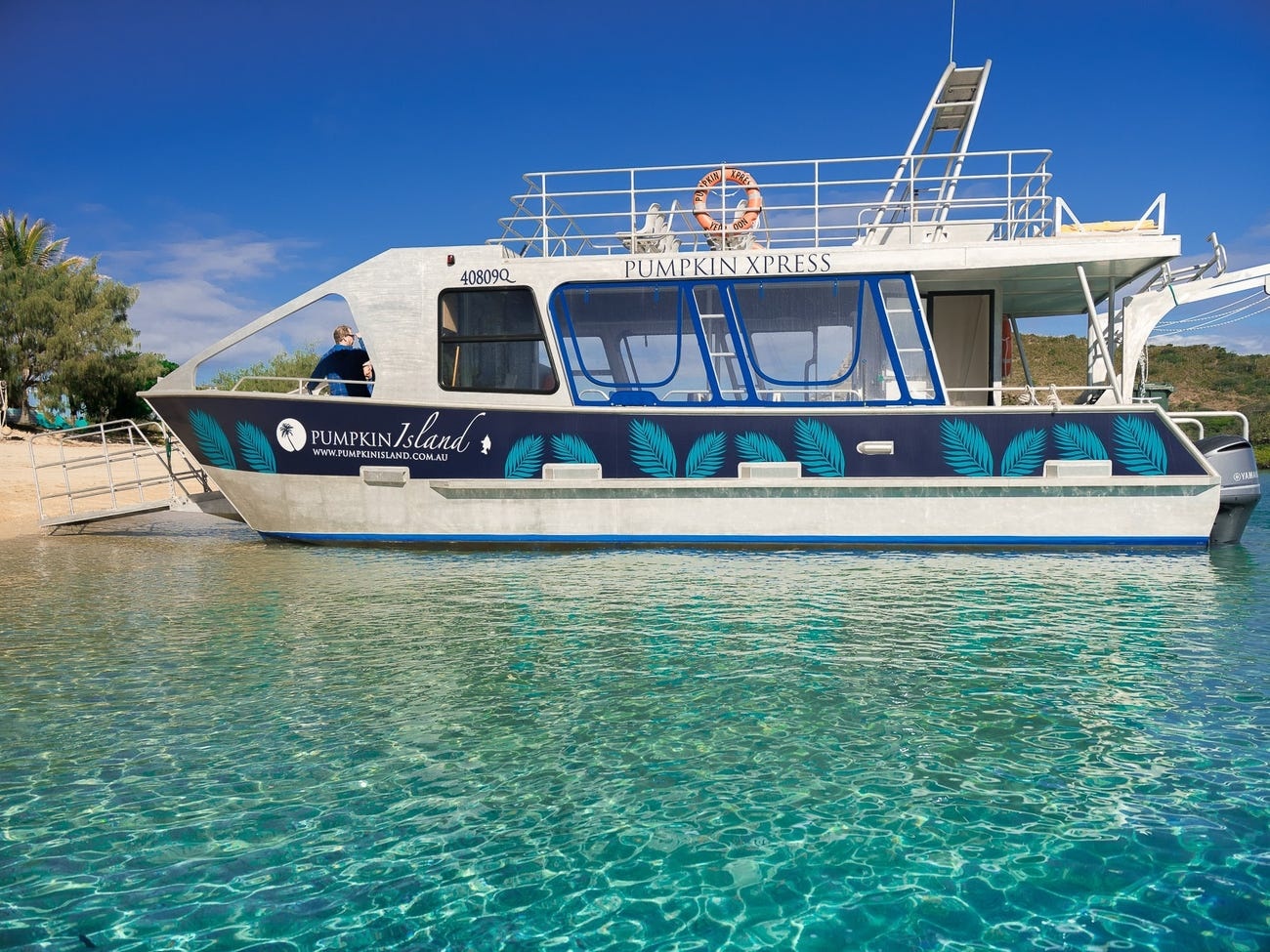 Dao Pumpkin o Australia anh 11