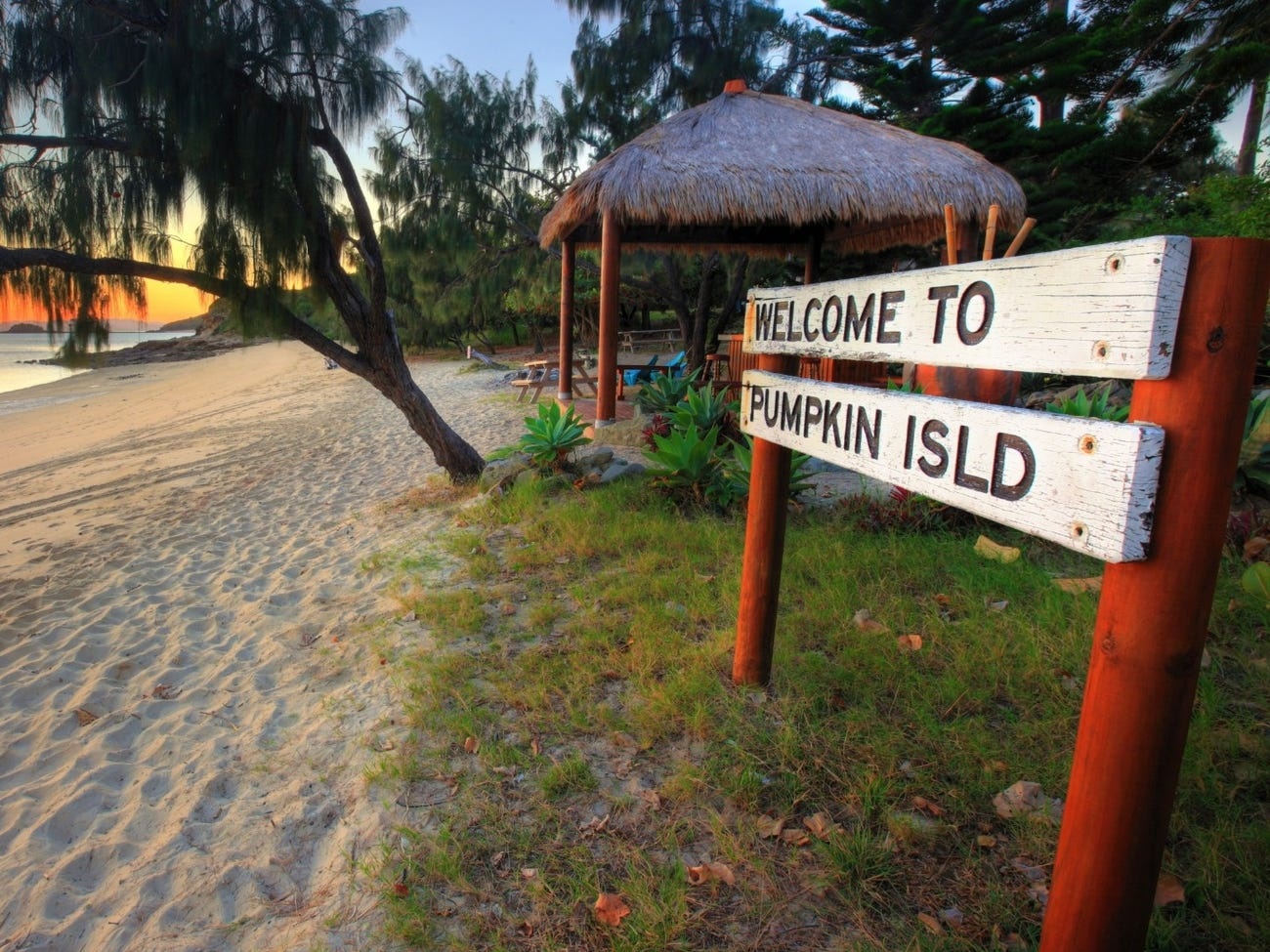 Dao Pumpkin o Australia anh 12