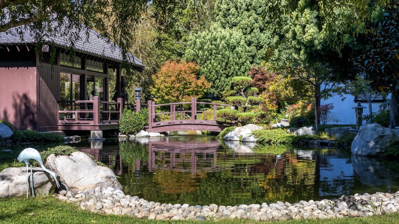 Dinh thu cua Elvis Presley o Beverly Hills anh 6