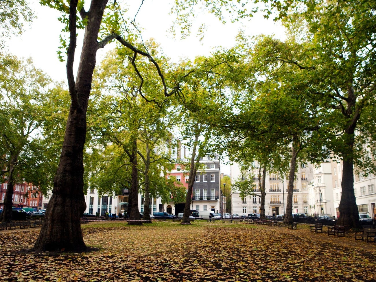 Nha pho co 3 tang ham giua trung tam London anh 2