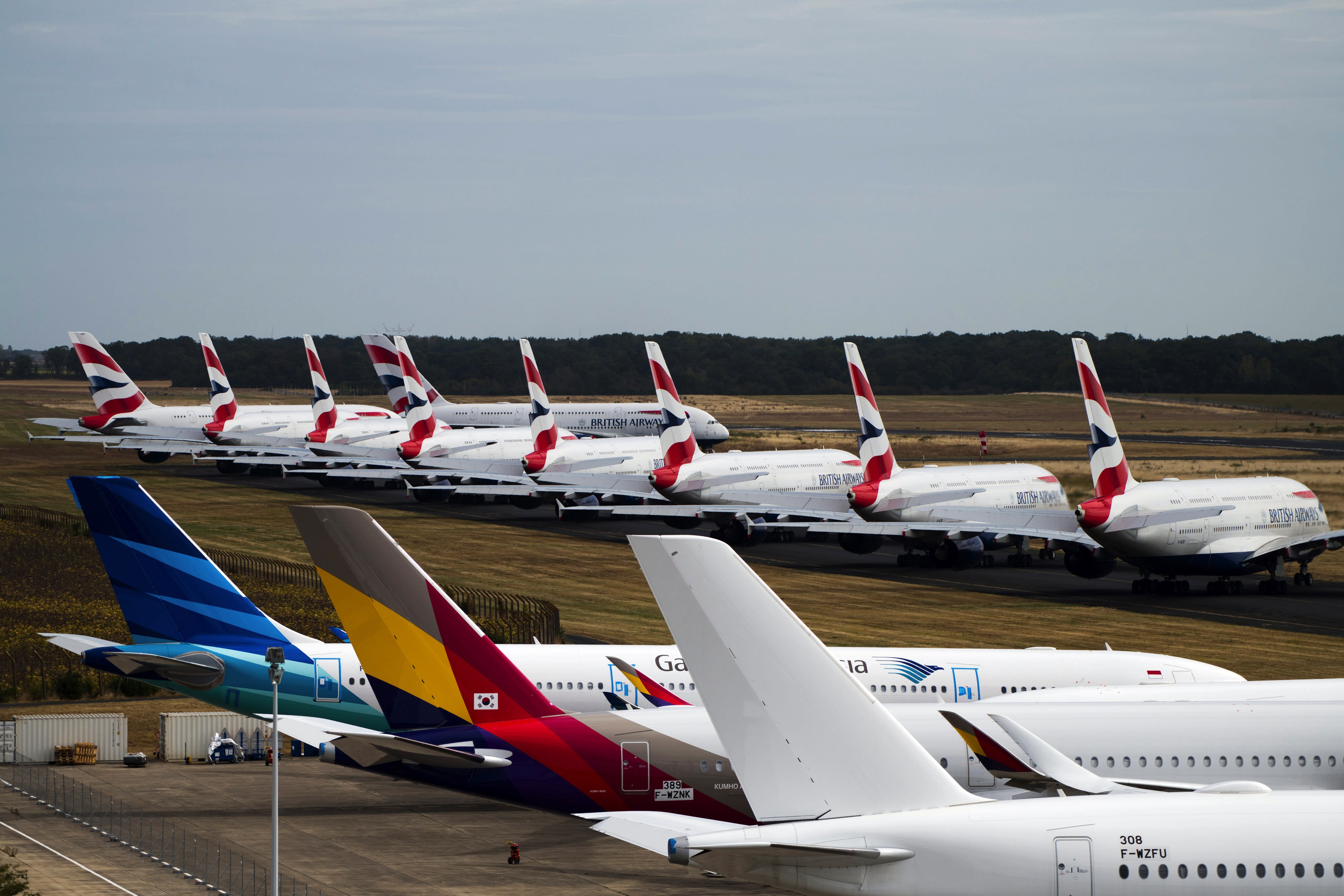 nganh hang khong chim trong khung hoang anh 1