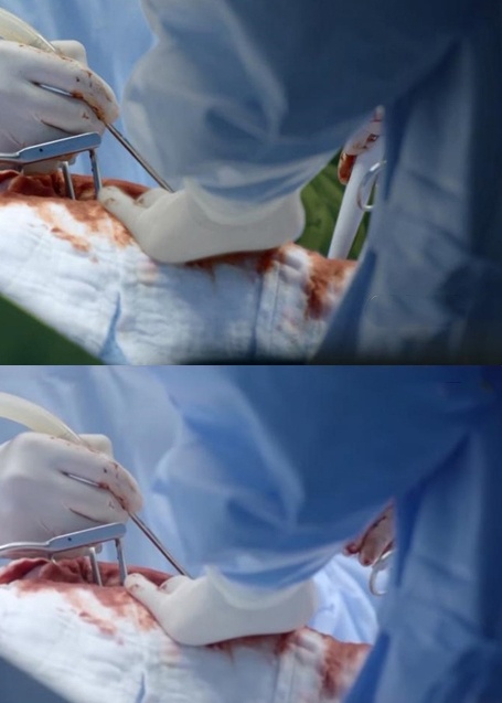 nhat san hau due mat troi anh 5