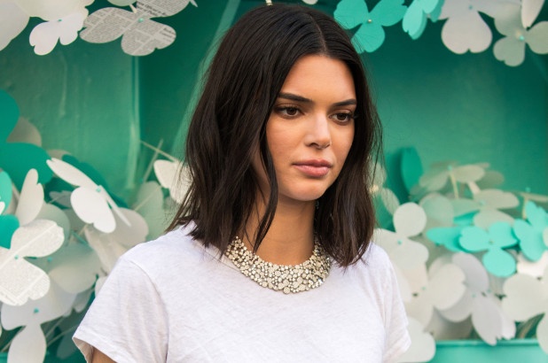 Kendall Jenner hoang so o nha cua minh sau 2 lan bi ke la dot nhap hinh anh