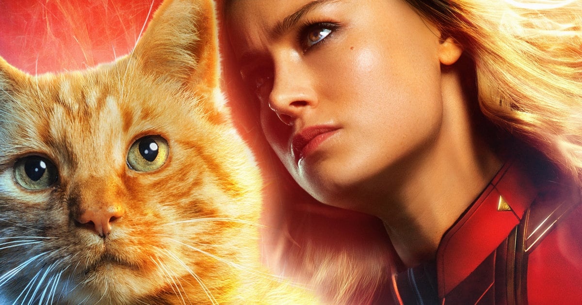 Dao dien 'Captain Marvel' tiet lo ve vai tro dac biet cua meo Goose hinh anh