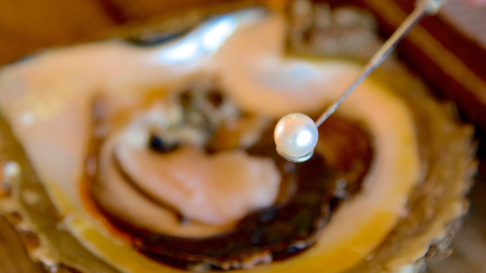 trai nghiem khi den Australia anh 1