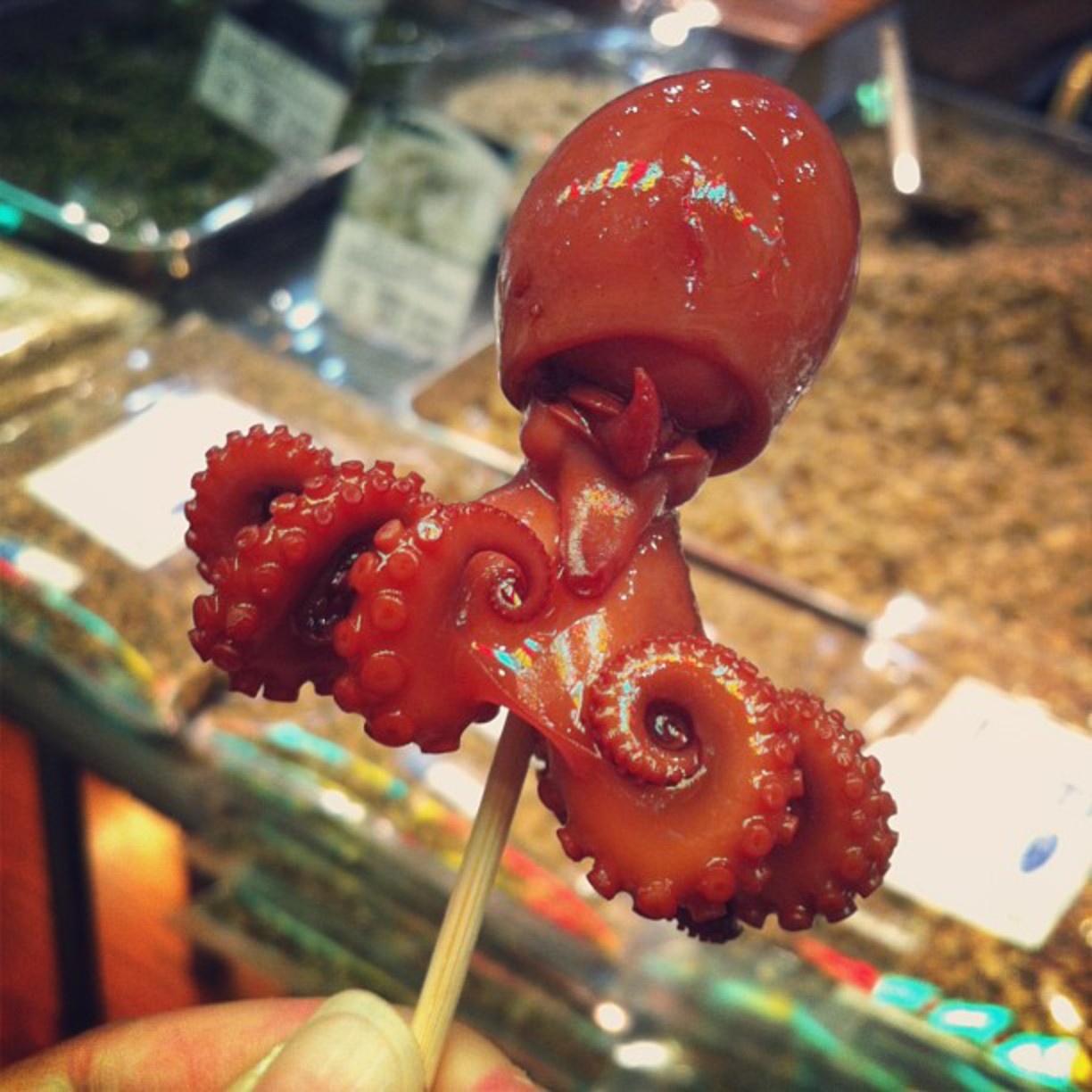 kham pha cho Nishiki Nhat Ban anh 14