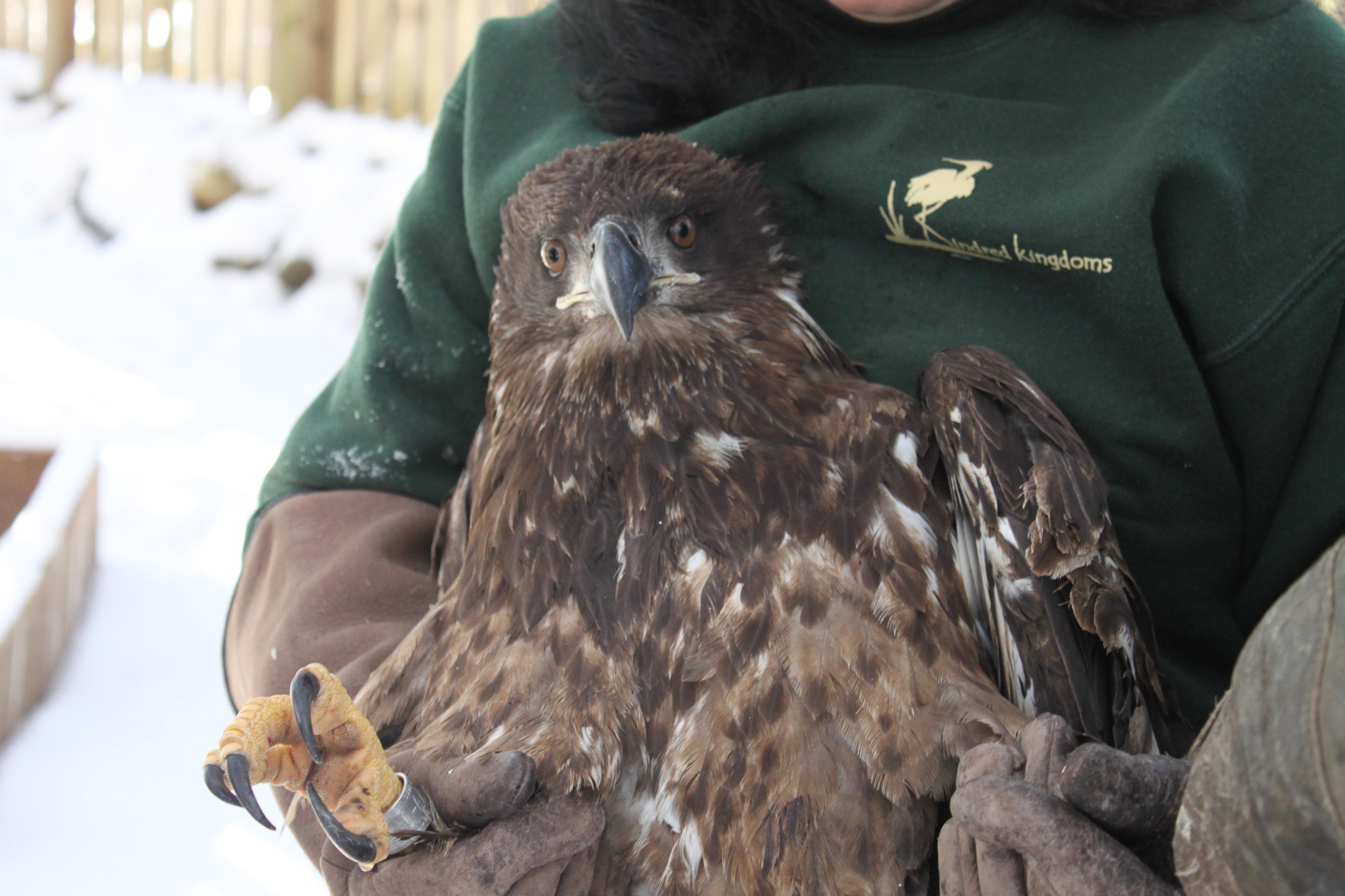 truong hoc dac biet anh 7