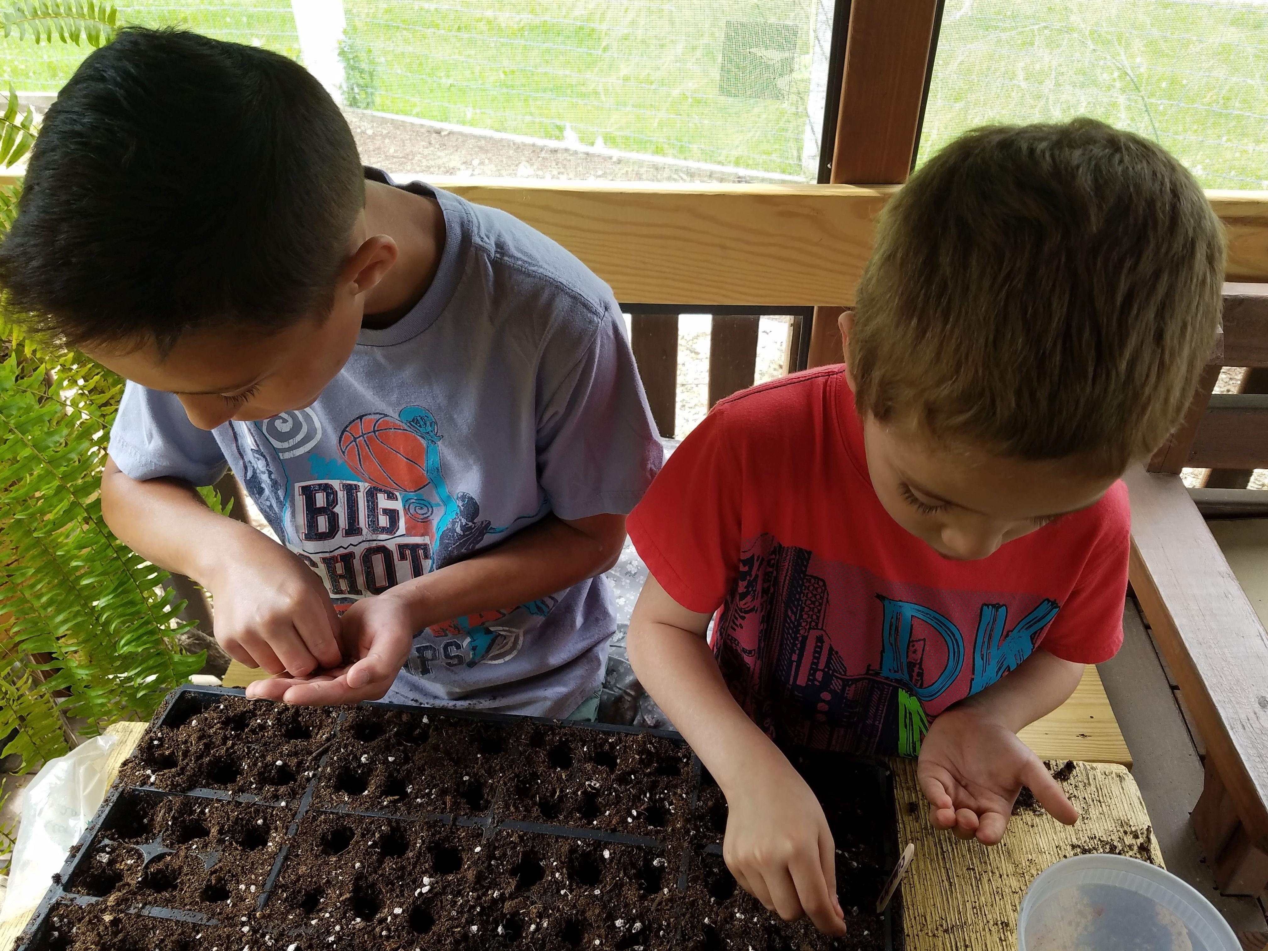 truong hoc dac biet anh 11