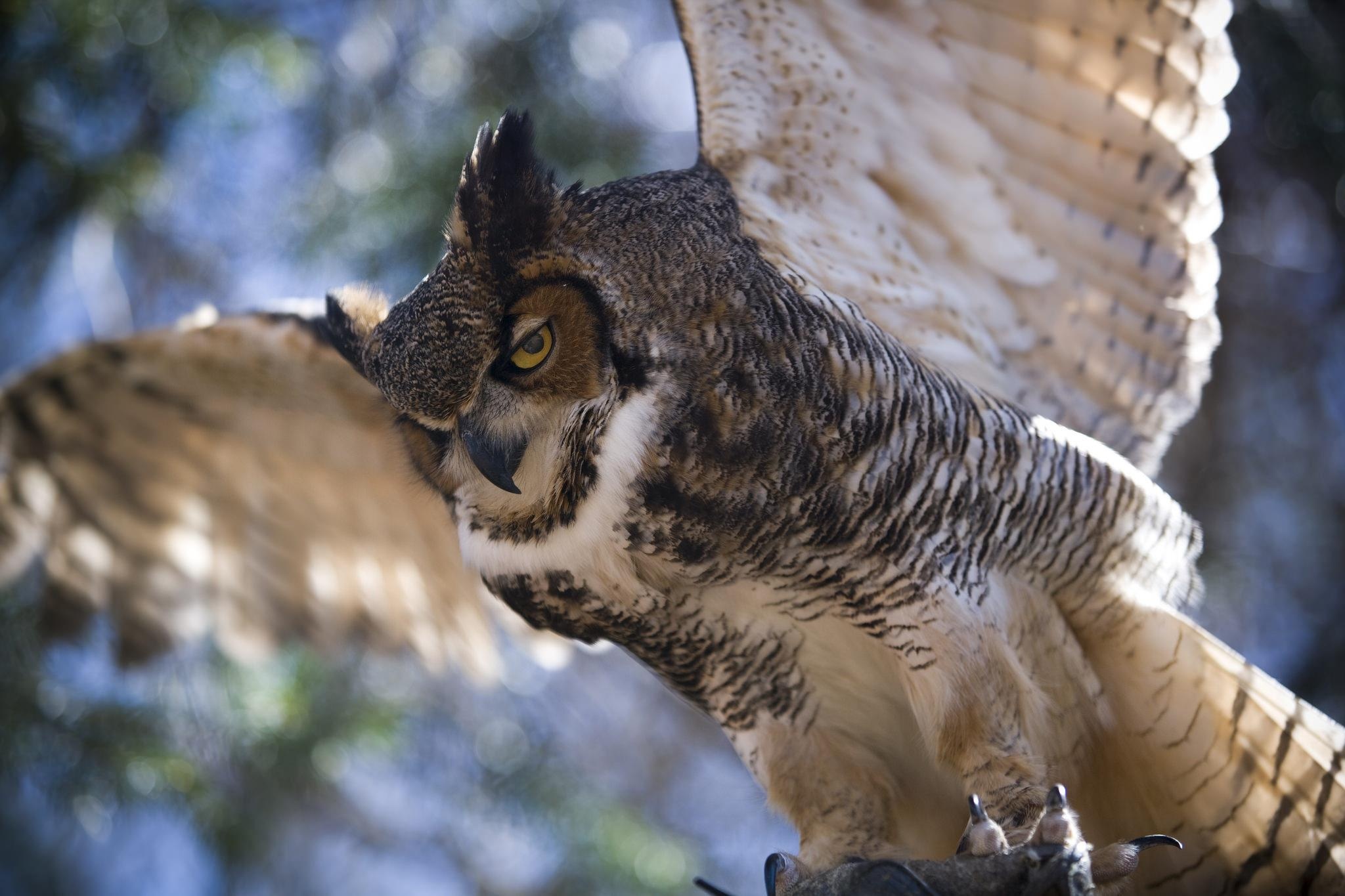 truong hoc dac biet anh 8