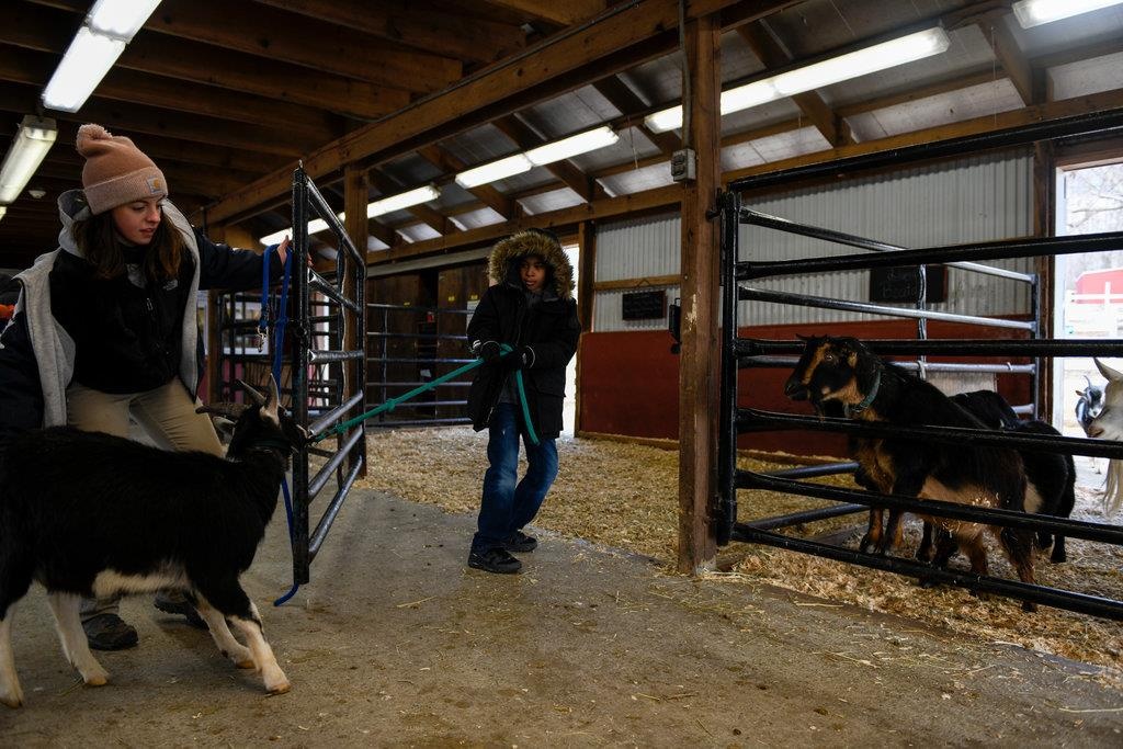 truong hoc dac biet anh 10