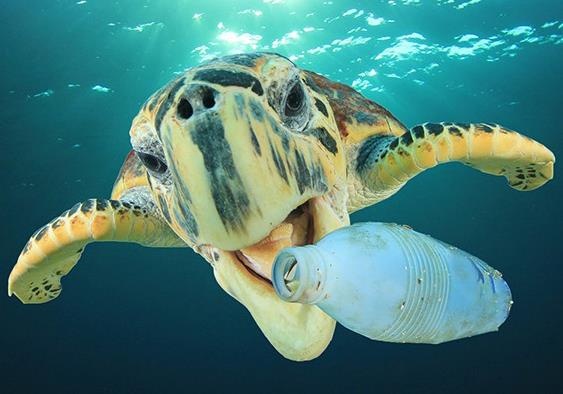 Trai Dat se the nao neu do nhua khong ton tai tren doi? hinh anh