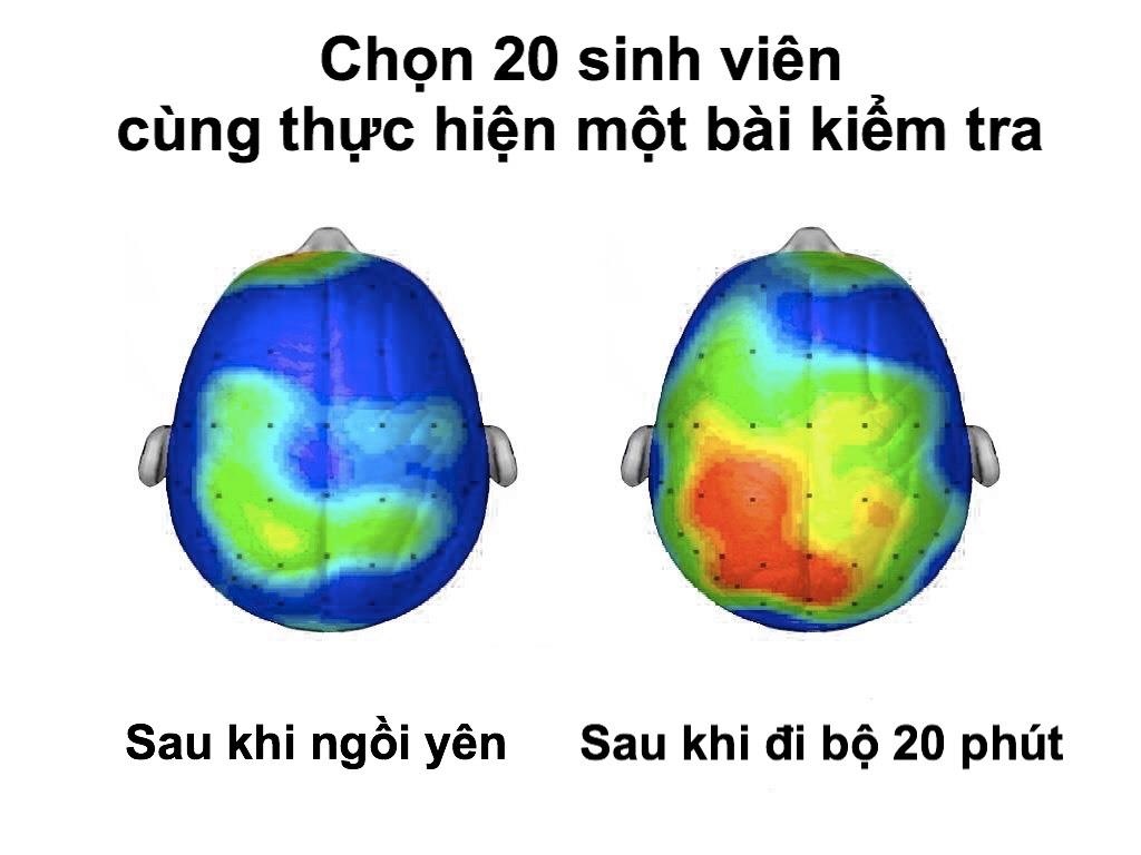 bi quyet cai thien tri nho anh 1