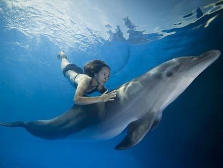 Dieu gi xay ra neu con nguoi song duoi day bien? hinh anh