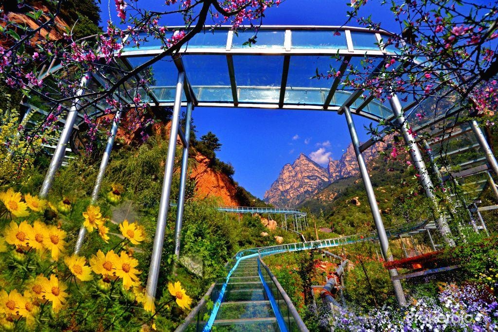 Thich thu voi mang truot nuoc duoi gian hoa lang man tai Trung Quoc hinh anh