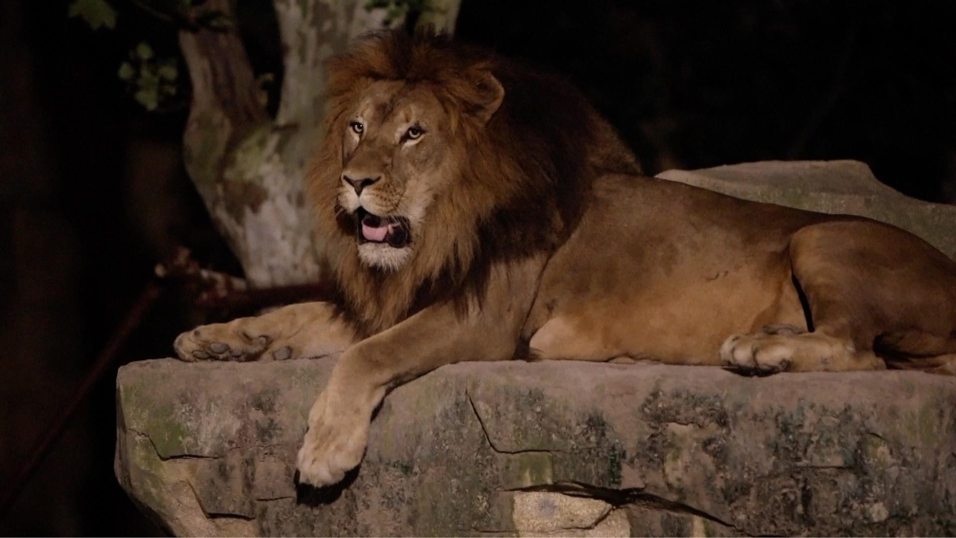 Hoa minh vao thien nhien hoang da voi so thu dem o Trung Quoc hinh anh