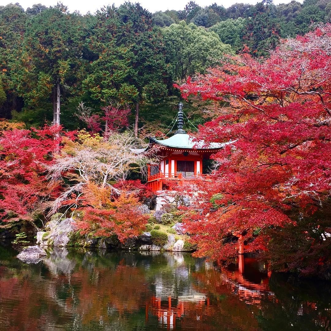 Nhung ngoi chua tuyet dep o Nhat Ban anh 22