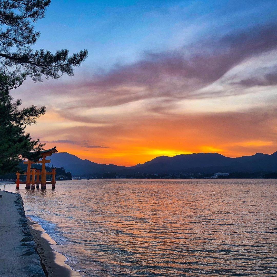 Nhung ngoi chua tuyet dep o Nhat Ban anh 25