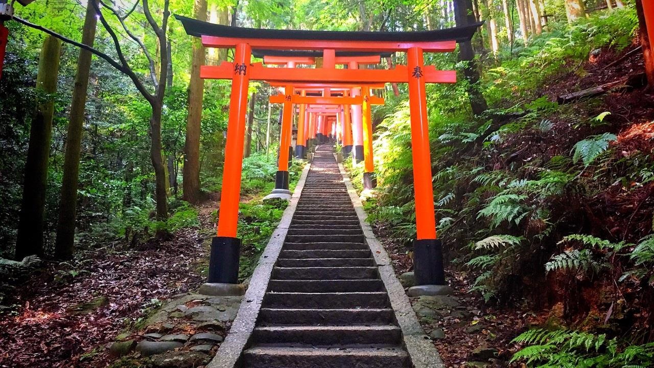 Nhung ngoi chua tuyet dep o Nhat Ban anh 3