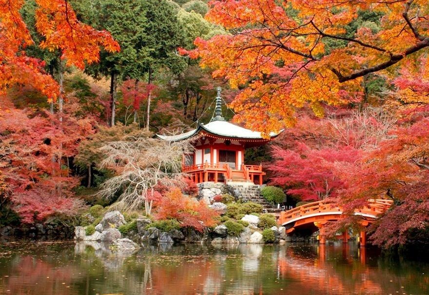 Nhung ngoi chua co khung canh tuyet dep o Nhat Ban hinh anh