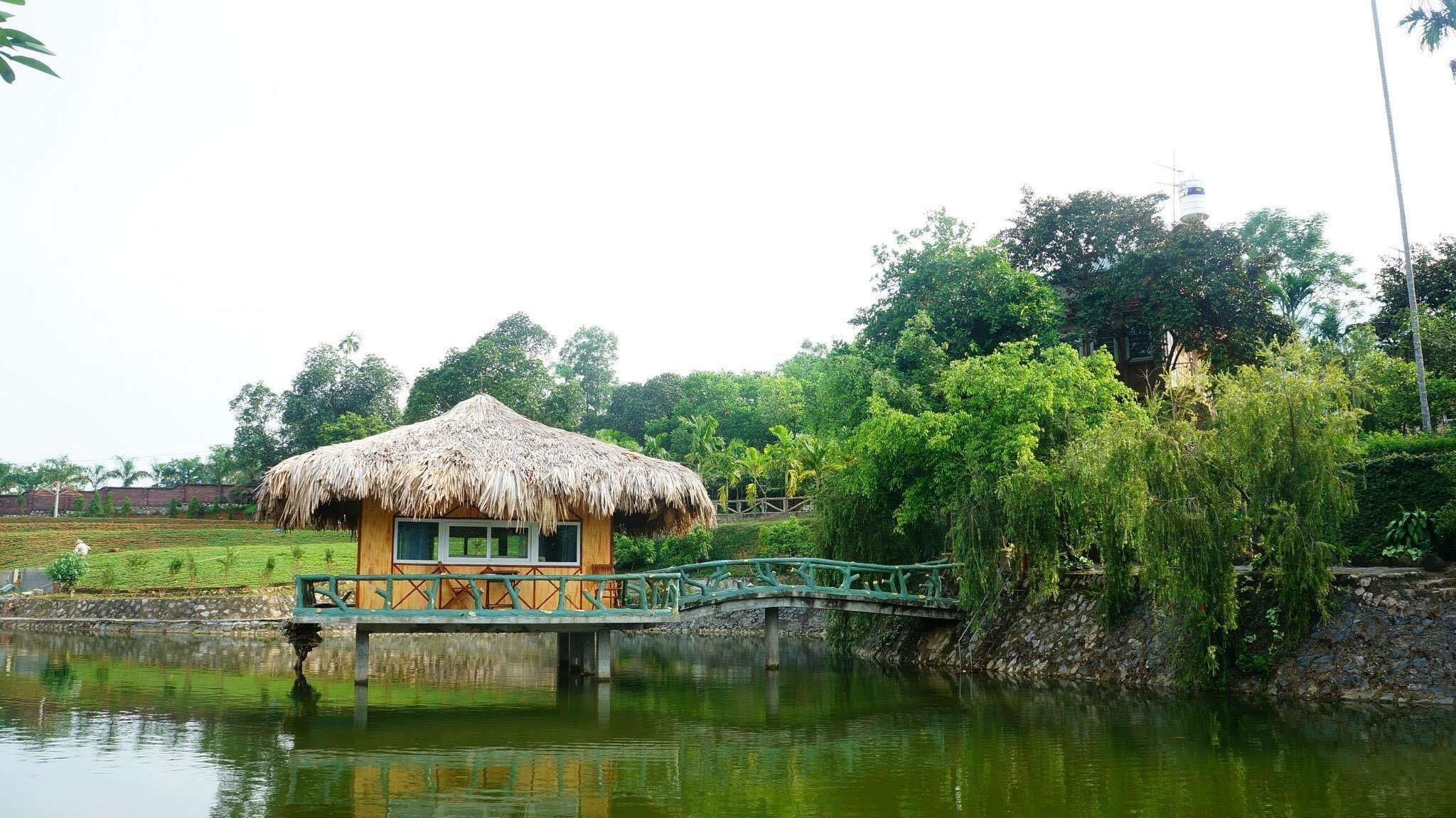 homestay ba vi anh 13