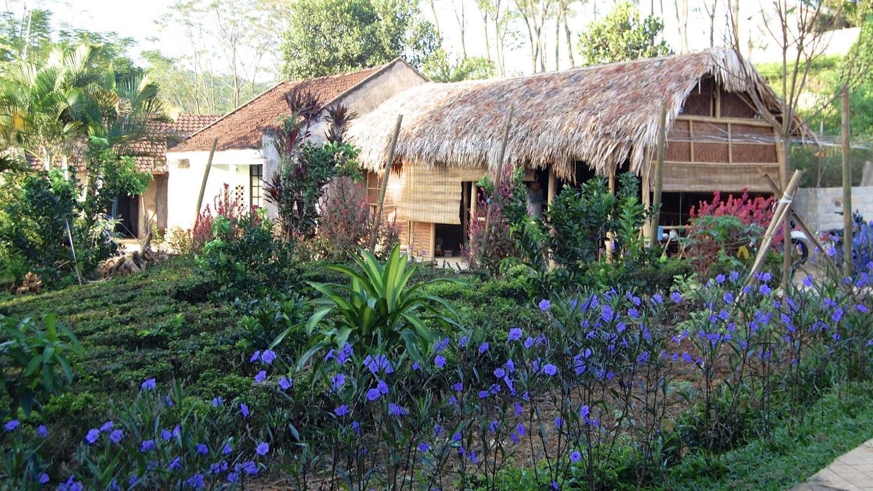 homestay ba vi anh 10