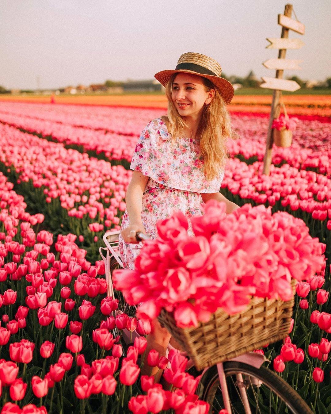 Doan Van Hau toi Ha Lan anh 9