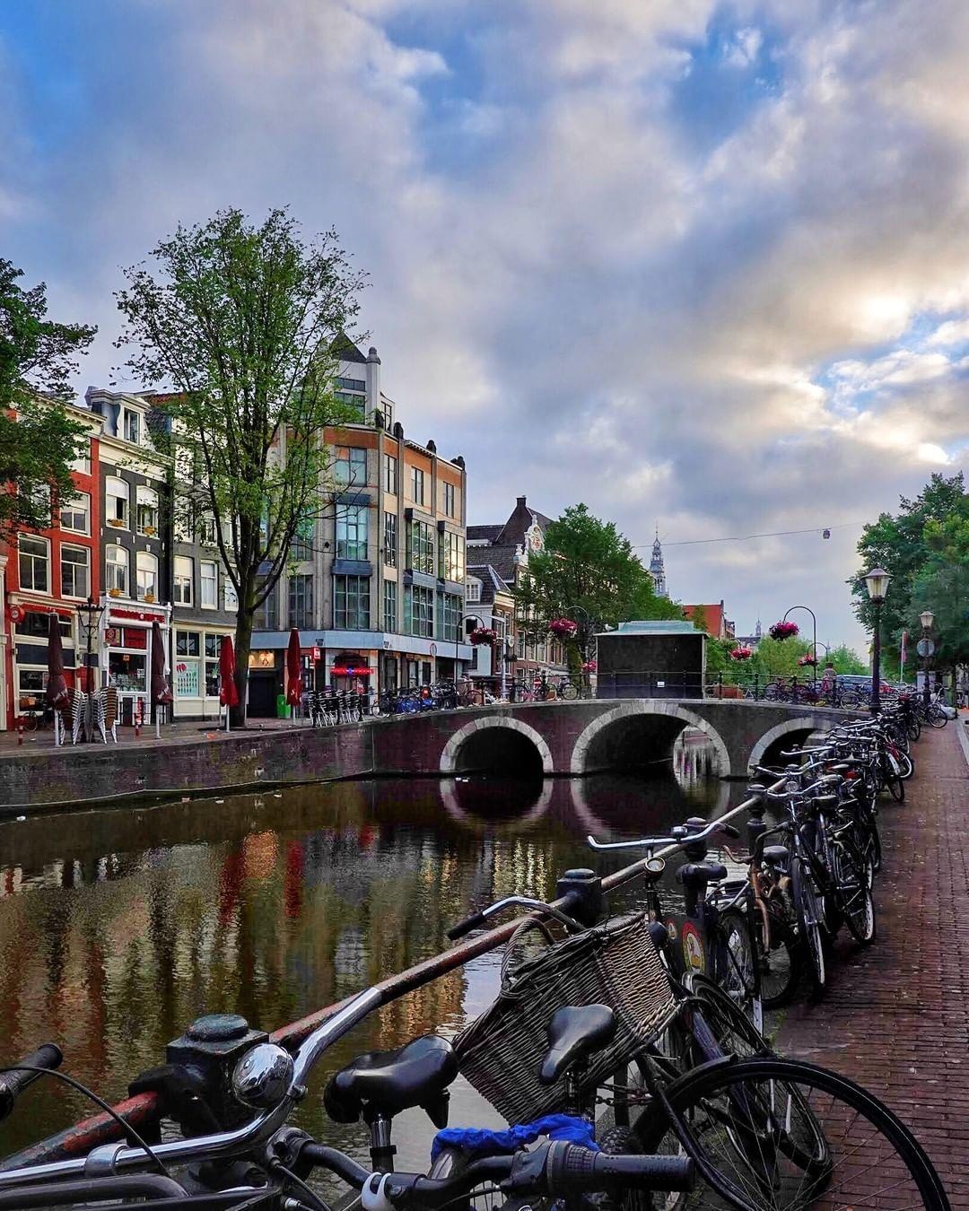 Doan Van Hau toi Ha Lan anh 6